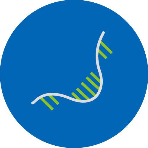 RNA Library Preparation 