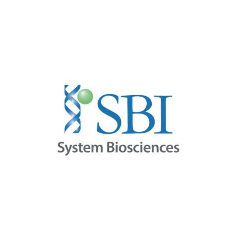 SBI