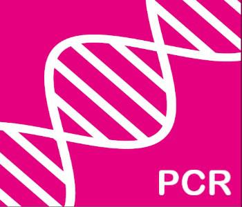 CP值最高 KAPA PCR 酵素 特價優惠，最低 75 折 
