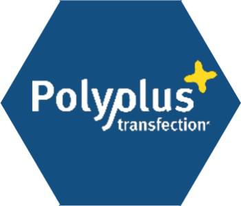 新代理 Polyplus Transfection 首購試用價活動開跑 