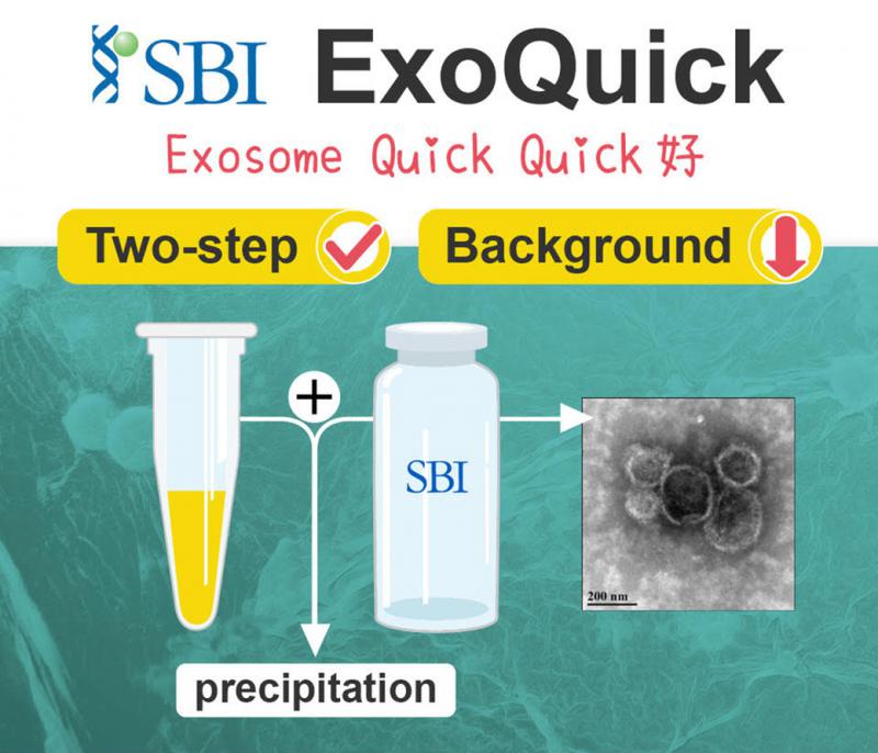 SBI ExoQuick 