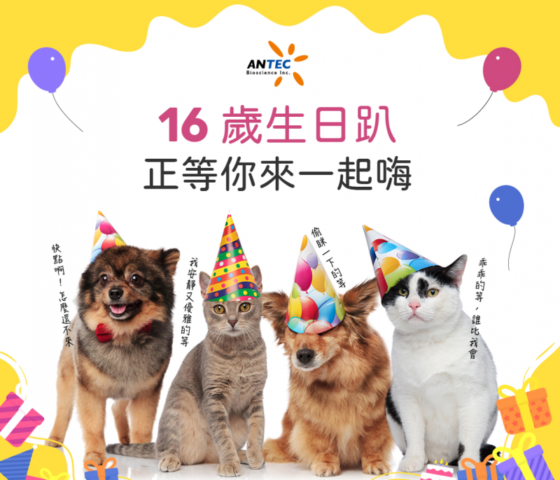 研毅生日趴